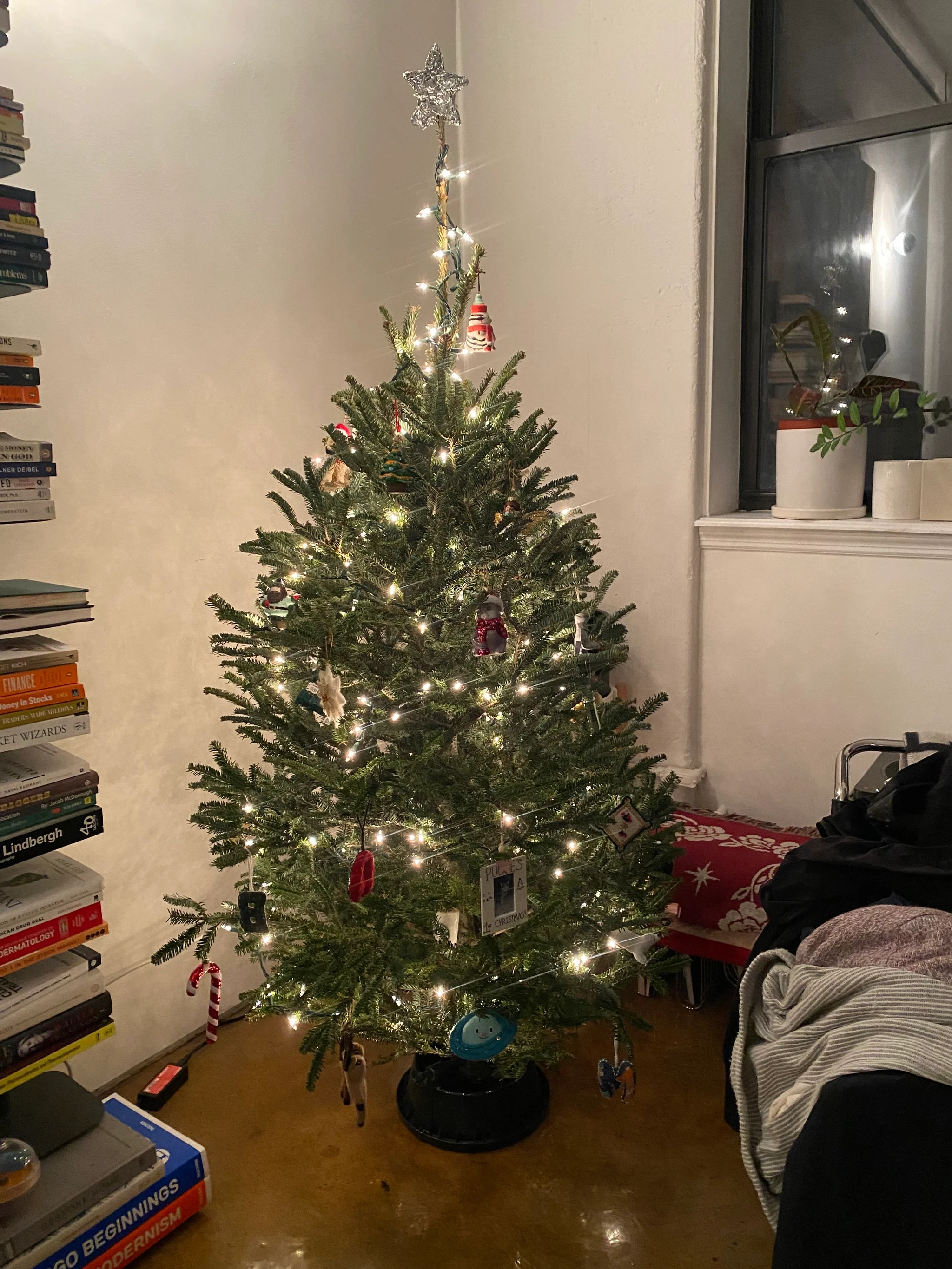 Fresh Brooklyn Christmas Trees Delivered
